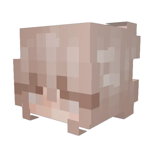 SGVYt Minecraft avatar head, 3D render