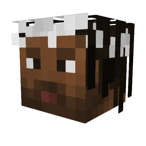 SGZ_Naaav Minecraft avatar head, 3D render
