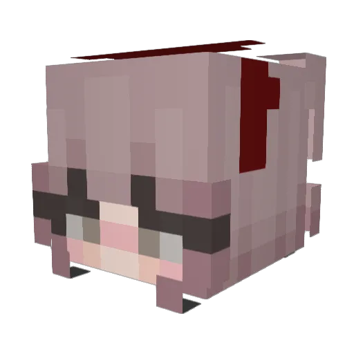 SG_Sneider Minecraft avatar head, 3D render