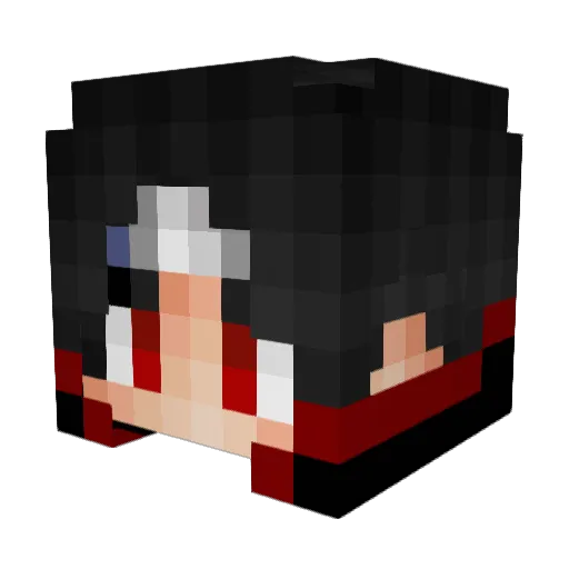 SH0WYT Minecraft avatar head, 3D render