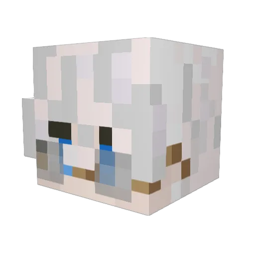 SHABBAROON Minecraft avatar head, 3D render