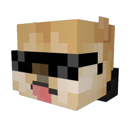 SHACHI487 Minecraft avatar head, 3D render