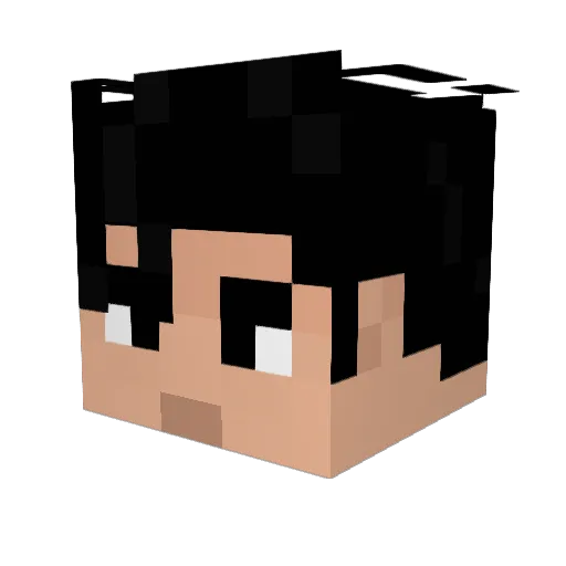 SHAD0WIC Minecraft avatar head, 3D render
