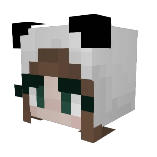 SHADOWM4ster22 Minecraft avatar head, 3D render