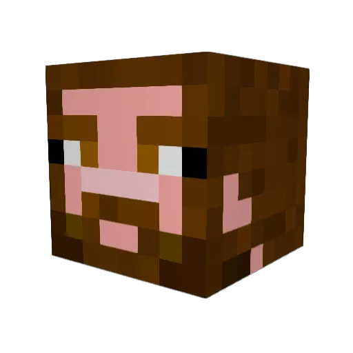 SHADOWSTORM125 Minecraft avatar head, 3D render