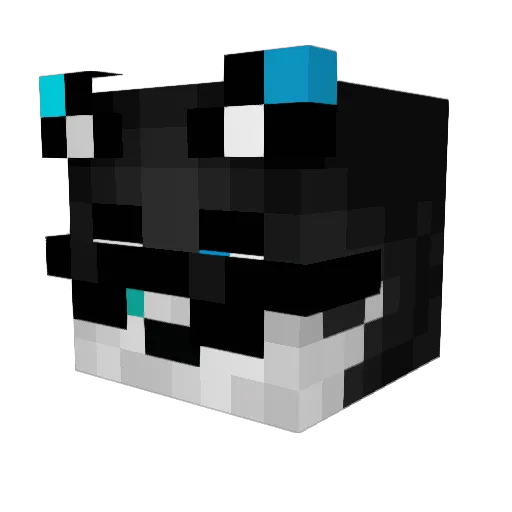 SHADOW_LEGEND286 Minecraft avatar head, 3D render