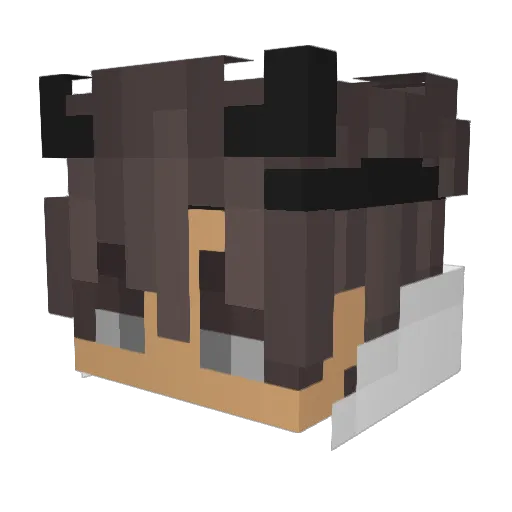 SHADW_O Minecraft avatar head, 3D render