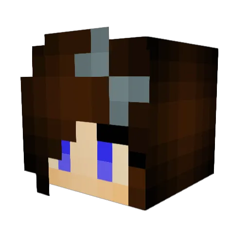 SHADY1850 Minecraft avatar head, 3D render