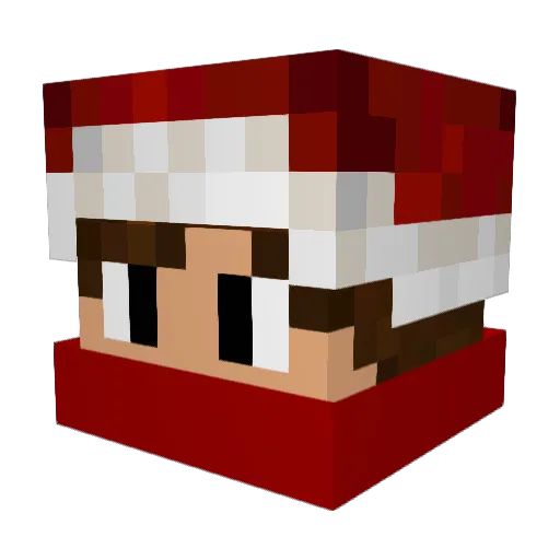 SHAKENDA Minecraft avatar head, 3D render