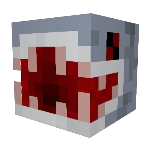SHARKS1210 Minecraft avatar head, 3D render