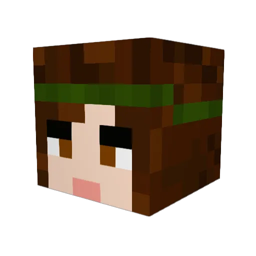 SHARKSOP Minecraft avatar head, 3D render