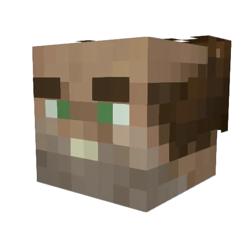 SHARTZZZZ Minecraft avatar head, 3D render