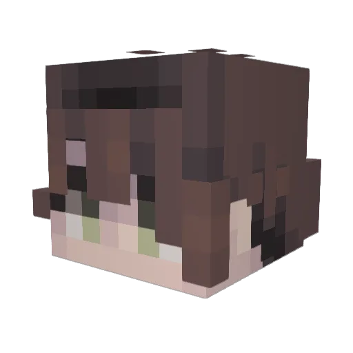 SHASAM Minecraft avatar head, 3D render