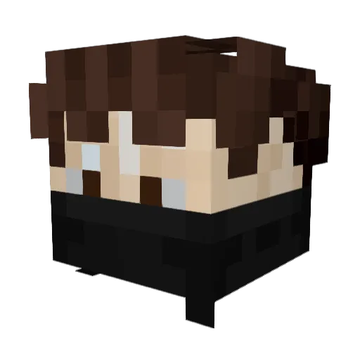SHAdohwj_ Minecraft avatar head, 3D render