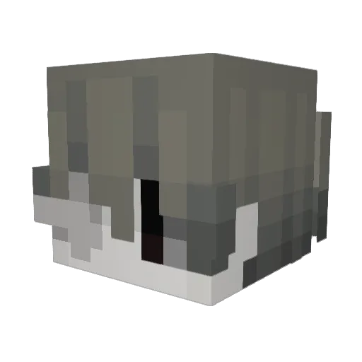 SHEL0VESME Minecraft avatar head, 3D render