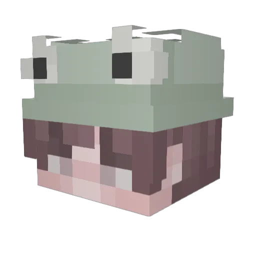 SHELBYAMERICAN Minecraft avatar head, 3D render