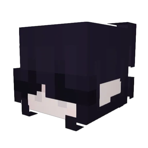 SHELS3Y Minecraft avatar head, 3D render