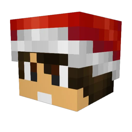 SHELSHOK27 Minecraft avatar head, 3D render