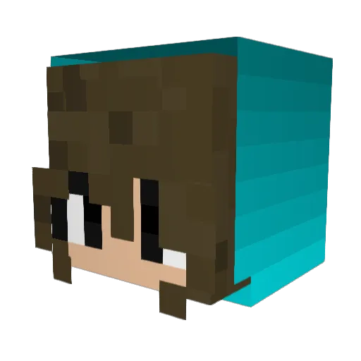 SHENR1 Minecraft avatar head, 3D render