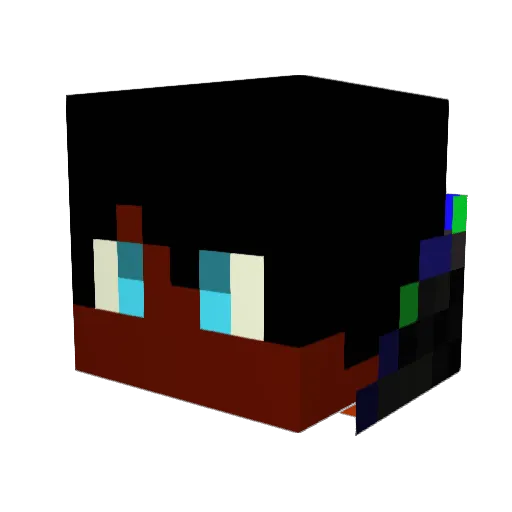 SHEPDAWG39 Minecraft avatar head, 3D render