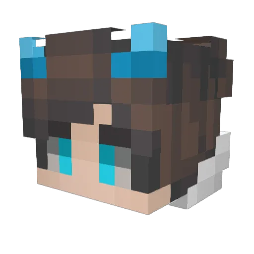 SHEPLEN Minecraft avatar head, 3D render