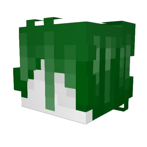 SHESAYLOVEME Minecraft avatar head, 3D render