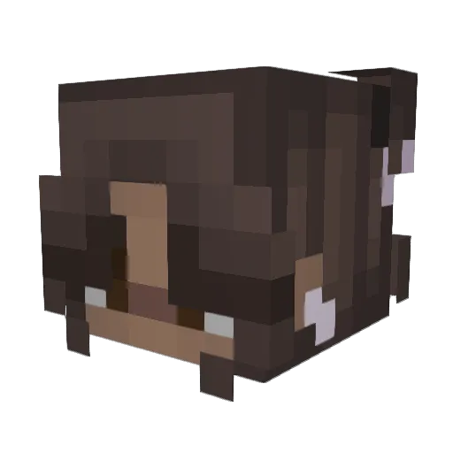 SHINELr Minecraft avatar head, 3D render