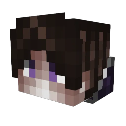 SHOCK1NG Minecraft avatar head, 3D render