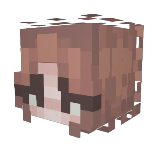 SHOHOM09 Minecraft avatar head, 3D render