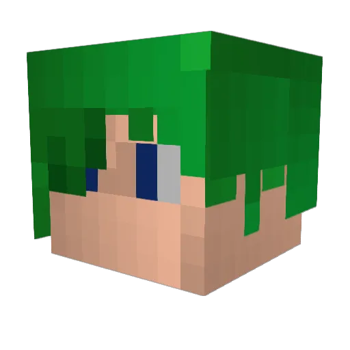 SHOMA817 Minecraft avatar head, 3D render