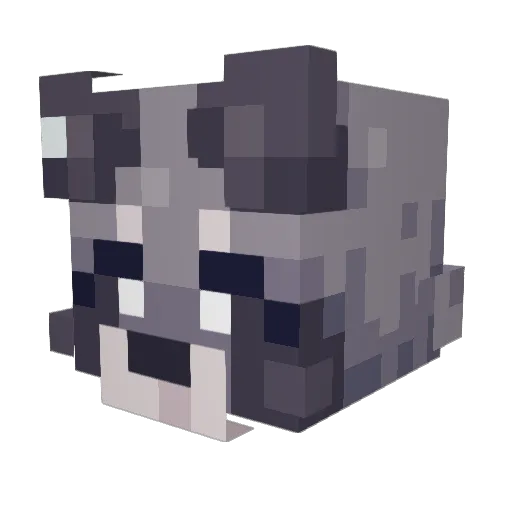 SHORTms Minecraft avatar head, 3D render