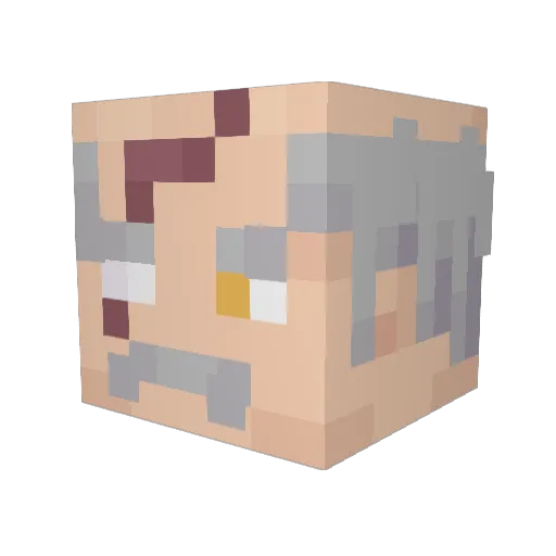 SHPSTGRTT Minecraft avatar head, 3D render