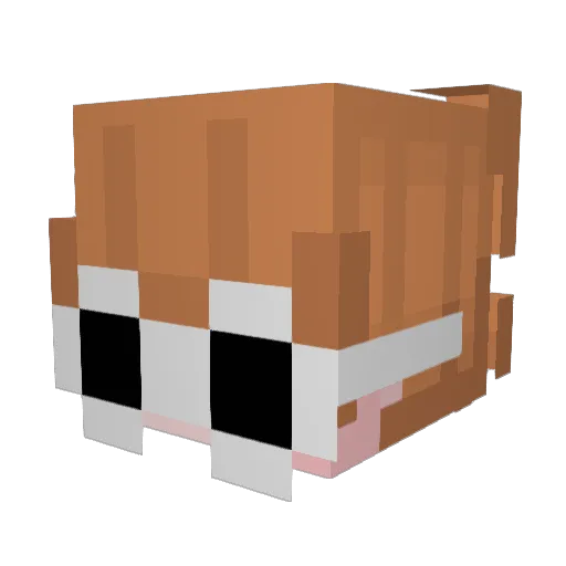 SHRKI Minecraft avatar head, 3D render