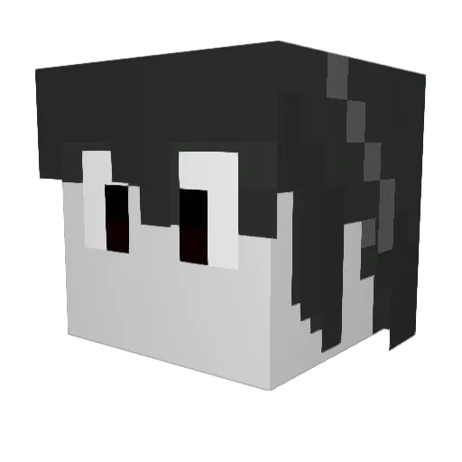 SHSLSpaceIdiot Minecraft avatar head, 3D render