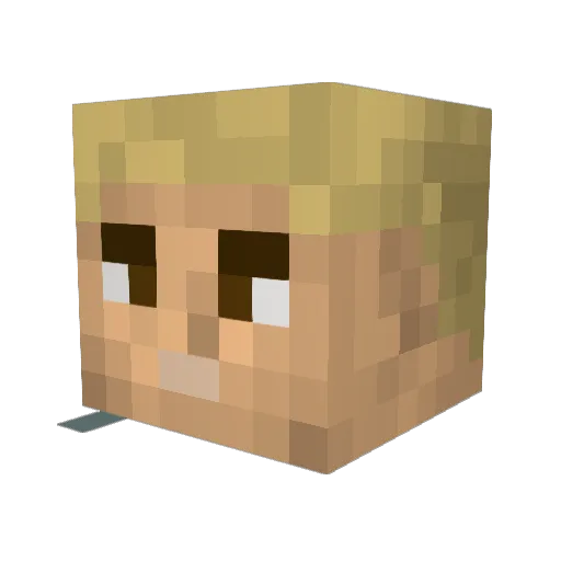 SHUFFLEKING Minecraft avatar head, 3D render