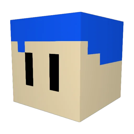 SHULECKTOR Minecraft avatar head, 3D render