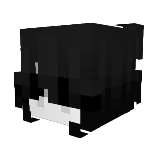 SHULIAA Minecraft avatar head, 3D render