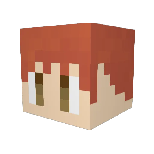 SHUNN0624 Minecraft avatar head, 3D render