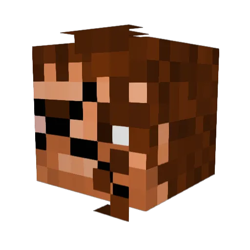 SHUNSUI23 Minecraft avatar head, 3D render