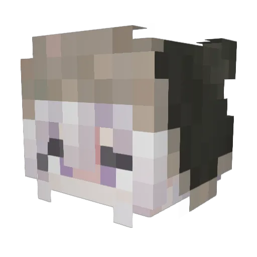 SHUN_XIA Minecraft avatar head, 3D render
