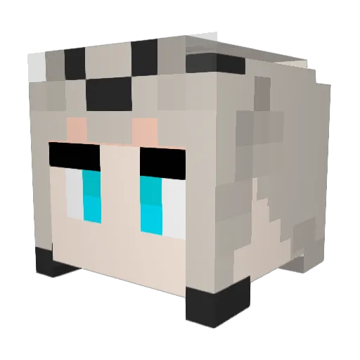 SHUZ1 Minecraft avatar head, 3D render
