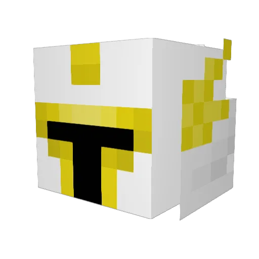 SHWNAEIS Minecraft avatar head, 3D render