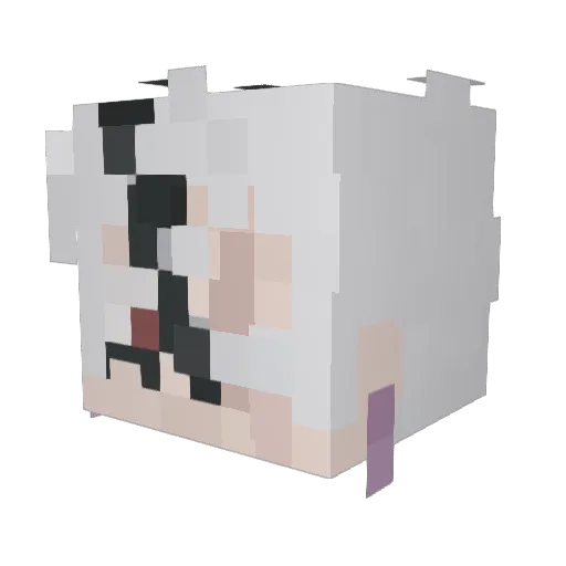 SIAMXISLEGIT Minecraft avatar head, 3D render