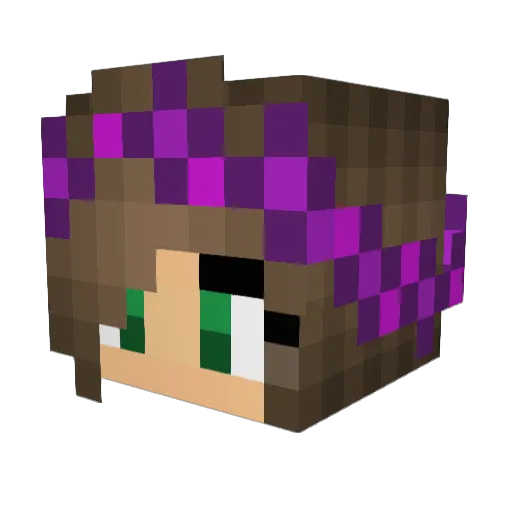 SIERRA1112 Minecraft avatar head, 3D render