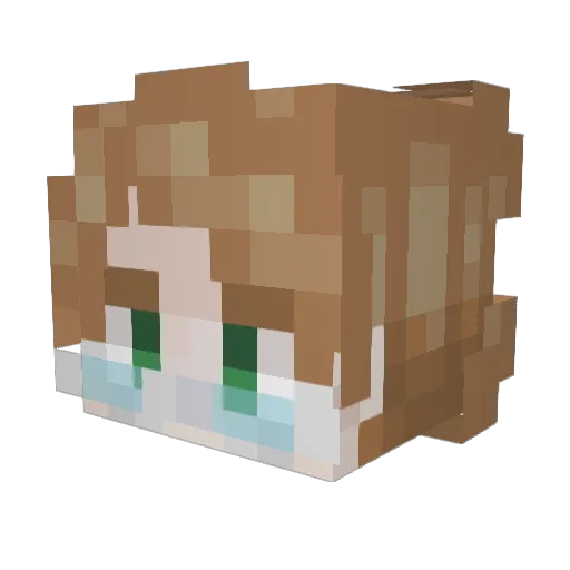 SIGNAL_OBSCURED Minecraft avatar head, 3D render