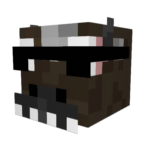 SILHOUETTE_BEZOS Minecraft avatar head, 3D render