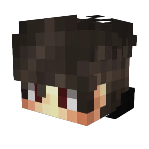 SILLMASTERY Minecraft avatar head, 3D render