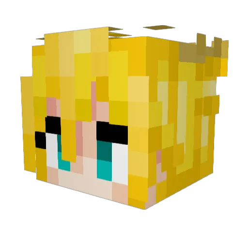 SILVA1911 Minecraft avatar head, 3D render