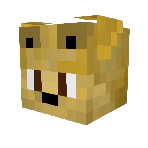 SILVERXD Minecraft avatar head, 3D render