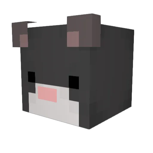 SIMBA1995 Minecraft avatar head, 3D render